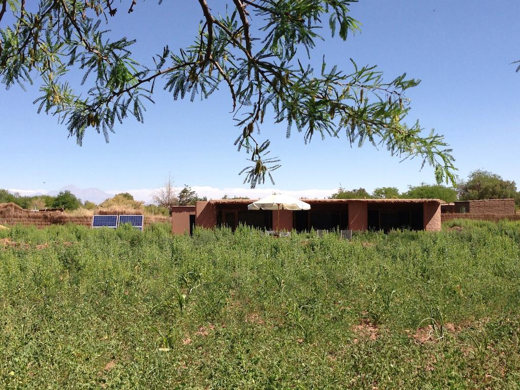 Eco-Lodge El Andinista San Pedro de Atacama Exterior photo